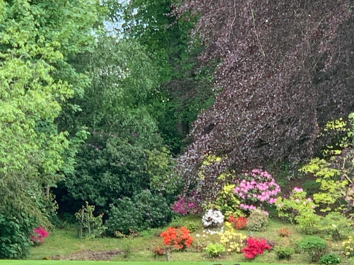 West Plean House Bed & Breakfast Stirling Bagian luar foto