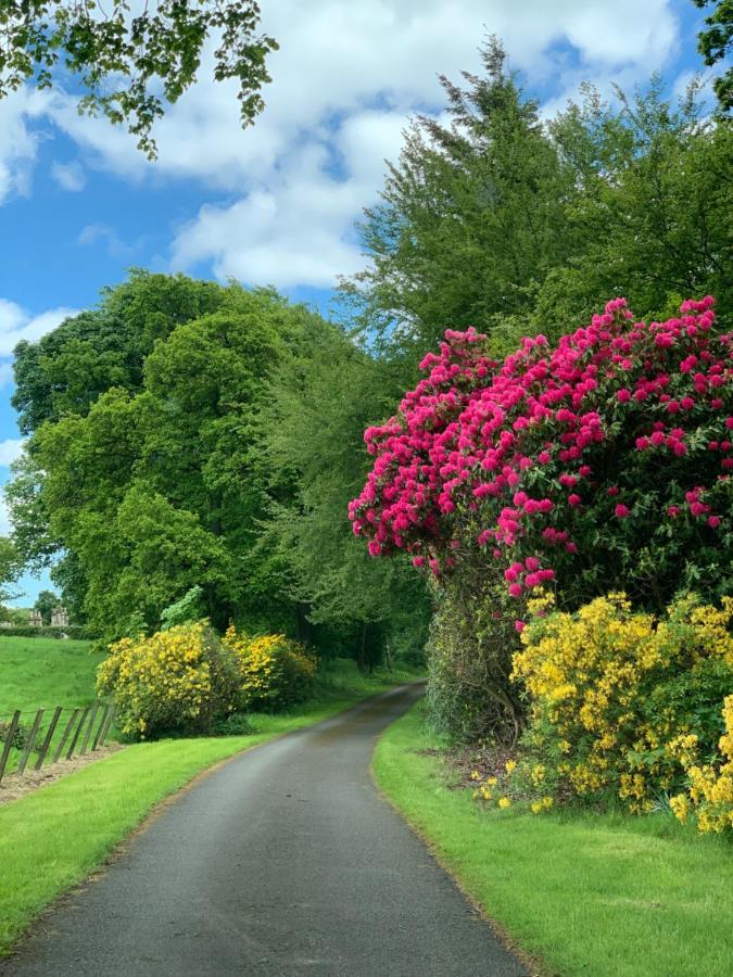 West Plean House Bed & Breakfast Stirling Bagian luar foto