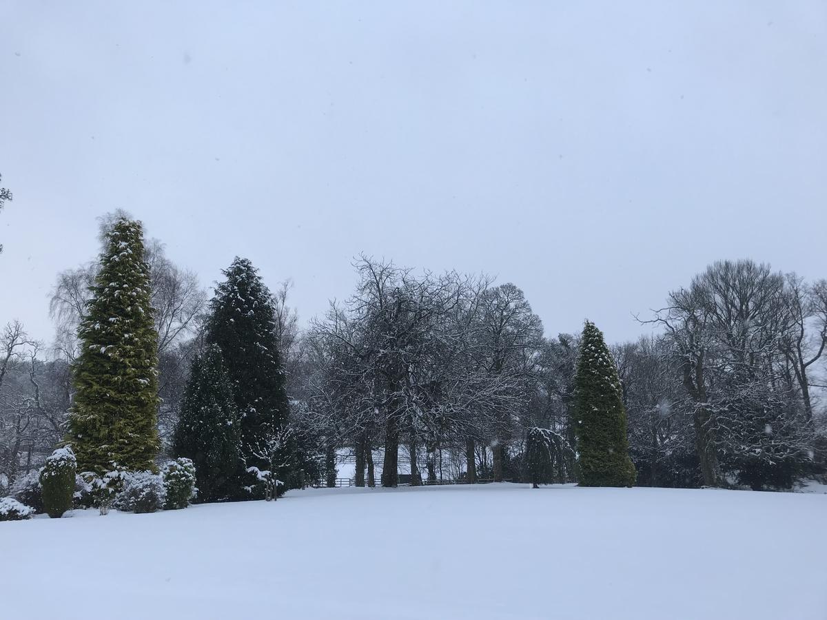 West Plean House Bed & Breakfast Stirling Bagian luar foto