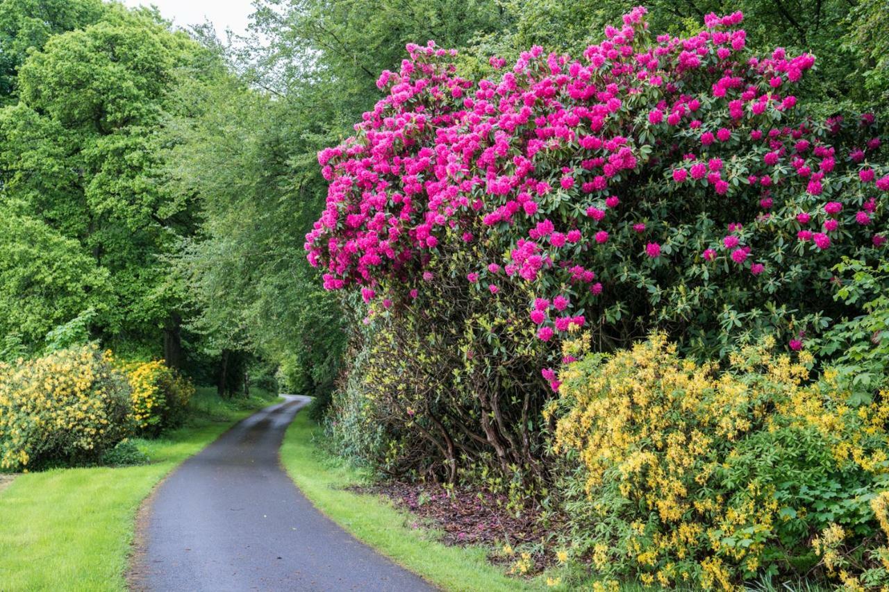 West Plean House Bed & Breakfast Stirling Bagian luar foto