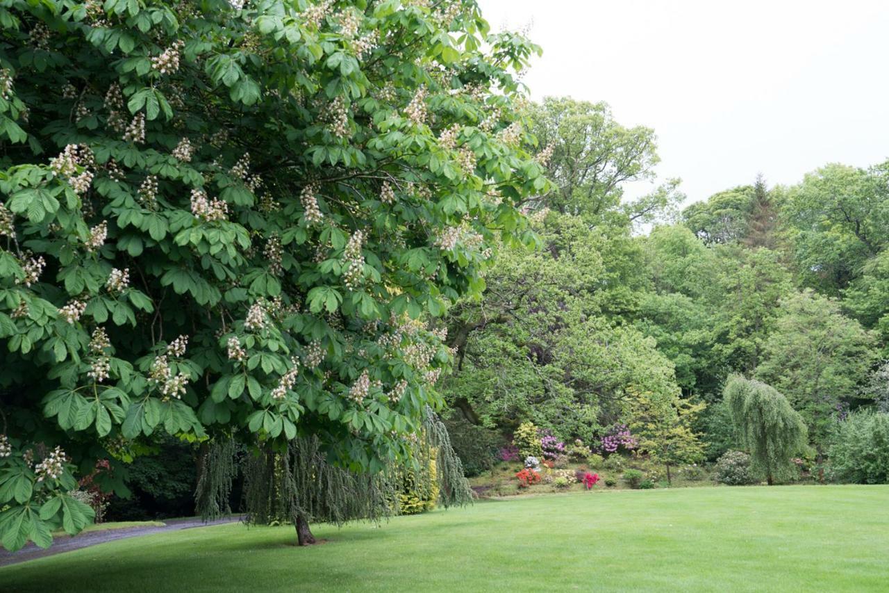 West Plean House Bed & Breakfast Stirling Bagian luar foto